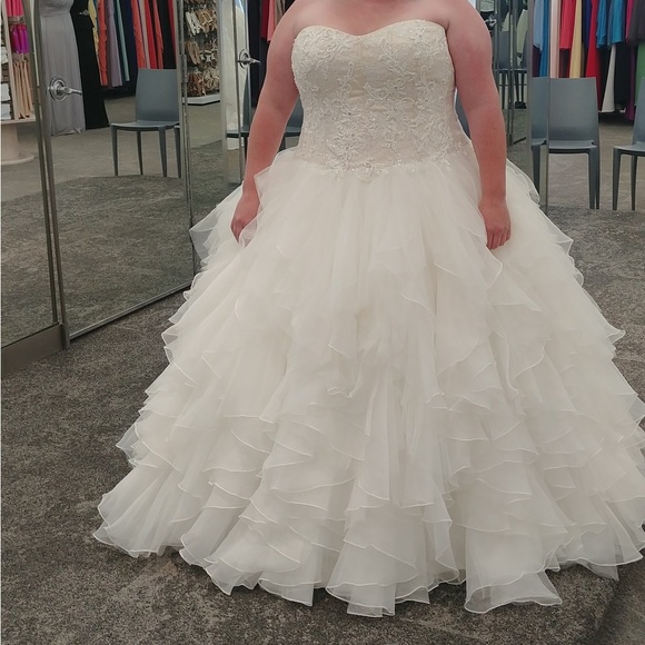 Wedding dress - Picture 12 of 12